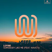 Luvine — Somebody Like Me (Feat. Wavo X) — обложка
